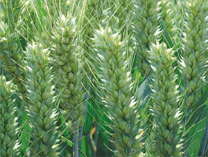 ����32-���N�I(y��)