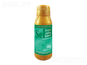 500g�˅������������������1̖-�����r(n��ng)��