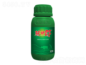 ������-(li��n)���r(n��ng)�I(y��)