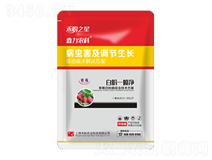 ��ݮ�׷۲��C�ϼ��g(sh��)����-�׷�һ����-����֮��-�����r(n��ng)�I(y��)