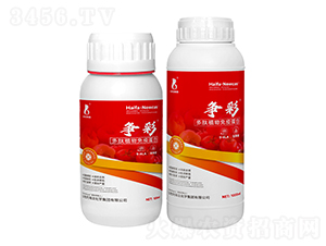 ����ֲ�����ߵ���-����-���r(n��ng)�W��