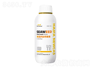 ��������}�V΢-�~����-���r(n��ng)�W��