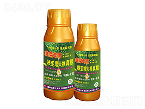 �²ˌ��ø��o��������-�����r(n��ng)��