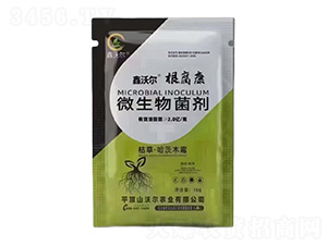 ΢�������-���֠���������-�֠��r�I(y��)