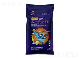 ����֬΢�������-���֠�-�֠��r�I(y��)