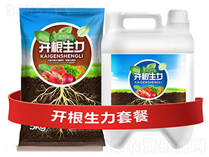 �_�������ײ�C-�ƴ�Ƽ�