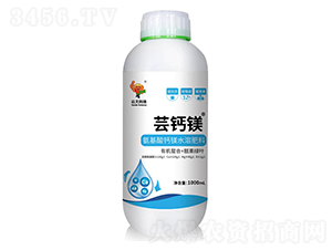 �|�}�V-�ƴ�Ƽ�