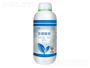 ���S�n�������~-�ƴ�Ƽ�