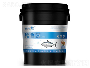 �L�~���~����-���S�n-�ƴ�Ƽ�