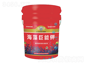 ��������-������r