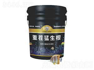 �ز�������-������r