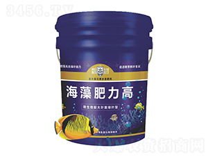 ���������-������r