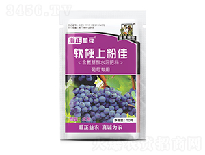 ���ь���ܛ���Ϸۼ�-���ֲ��-������r(n��ng)