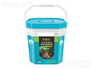 �۹Ȱ�������~����-�Z�-������r