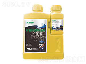 �VԴ�S�����ԭҺ-���ħ��-������r