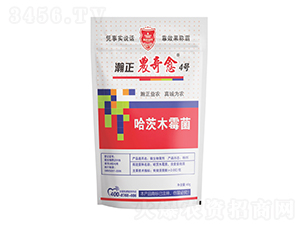 ����ľù��-����r(n��ng)����4̖-������r(n��ng)