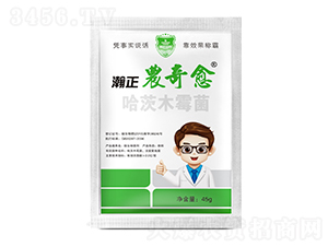 ����ľù��-����r����-������r