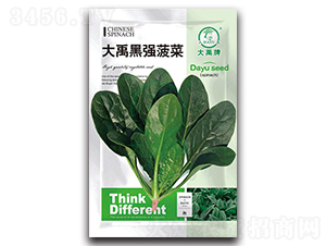 �����ڏ�(qi��ng)���˷N��-�����N�I(y��)