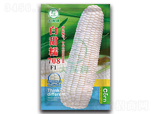 ����Ŵ708���׷N��-�����N�I(y��)