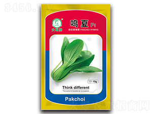 �Q�Ĵ�ײ˷N��-�����N�I(y��)