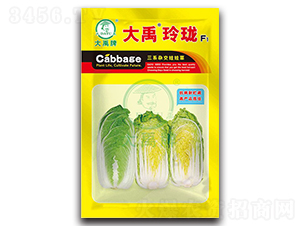 �����ᭇ��ײ˷N��-�����N�I(y��)