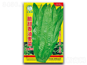 ��������������˷N��-�����N�I(y��)