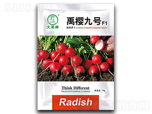 ��Ѿ�̖�����}���N��-�����N�I(y��)