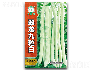 ����������-�����N��-�����N�I(y��)