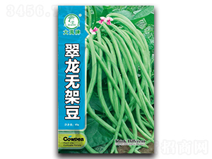 �����o(w��)�ܶ�-�ܶ��N��-�����N�I(y��)