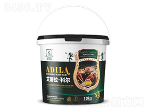 ���������Ơ�-�W����ķ��