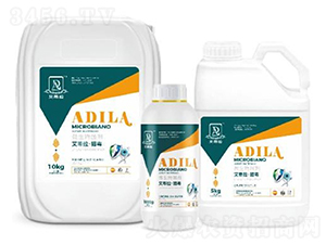 ���������C��-�W����ķ��