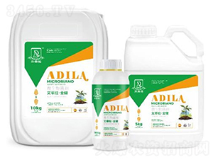 ��������ȫ��-�W����ķ��