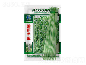 �������-�ƹ�N��