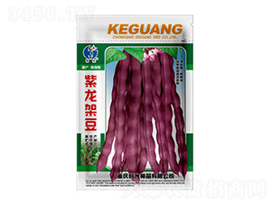 �����ܶ�-�ƹ�N��