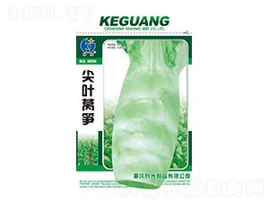 ���~�n�S-�ƹ�N��