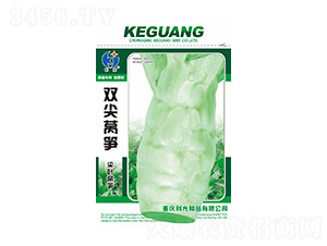 �p���n�S-�ƹ�N��