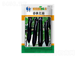 �����L(zh��ng)��-�ƹ�N��