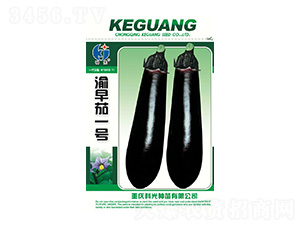 ������1̖(h��o)-�ƹ�N��