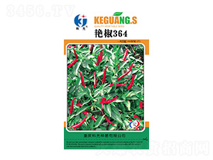 �G��364-�ƹ�N��