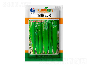 �彷5̖(h��o)-�ƹ�N��