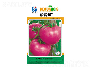 ���107-�ƹ�N��