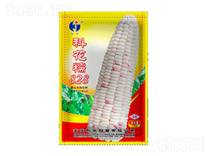 �ƻ�Ŵ828-�ƹ�N��