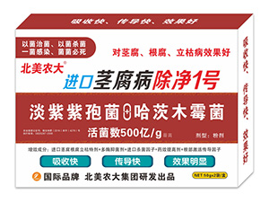 �M���o��������1̖-�����r(n��ng)��