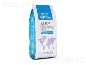 ���5-5-59+TE-�A��嫱�