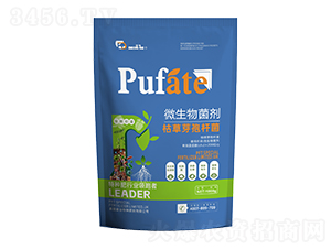 ΢�������-�ݲ�ѿ�ߗU��-�շ���