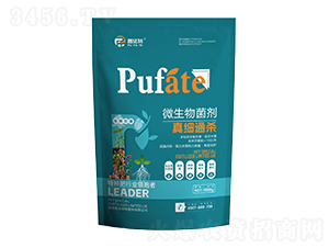 ΢�������-�漚(x��)ͨ��-�շ���