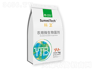 �r(n��ng)��΢������������wľùһ̖��-���l(w��i)-ס�̷���