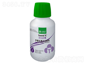 ʩ�������}-ס�̷���