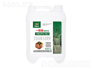 һ���G���}����-�е����r(n��ng)