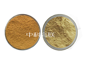 �~����ø1̖+2̖ˮ��ø-��˹�r